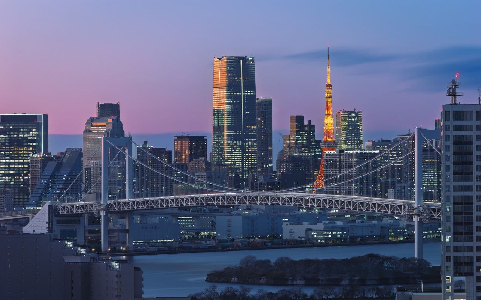 Tokyo's skyline and the Rainbow Bridge at dusk