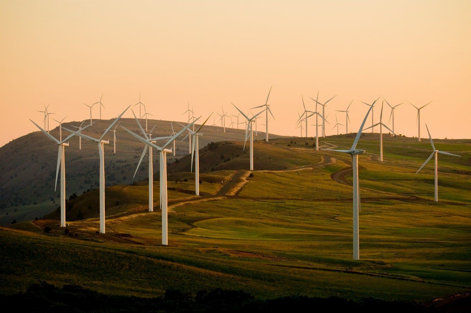 Wind turbines along a hillside at sunset